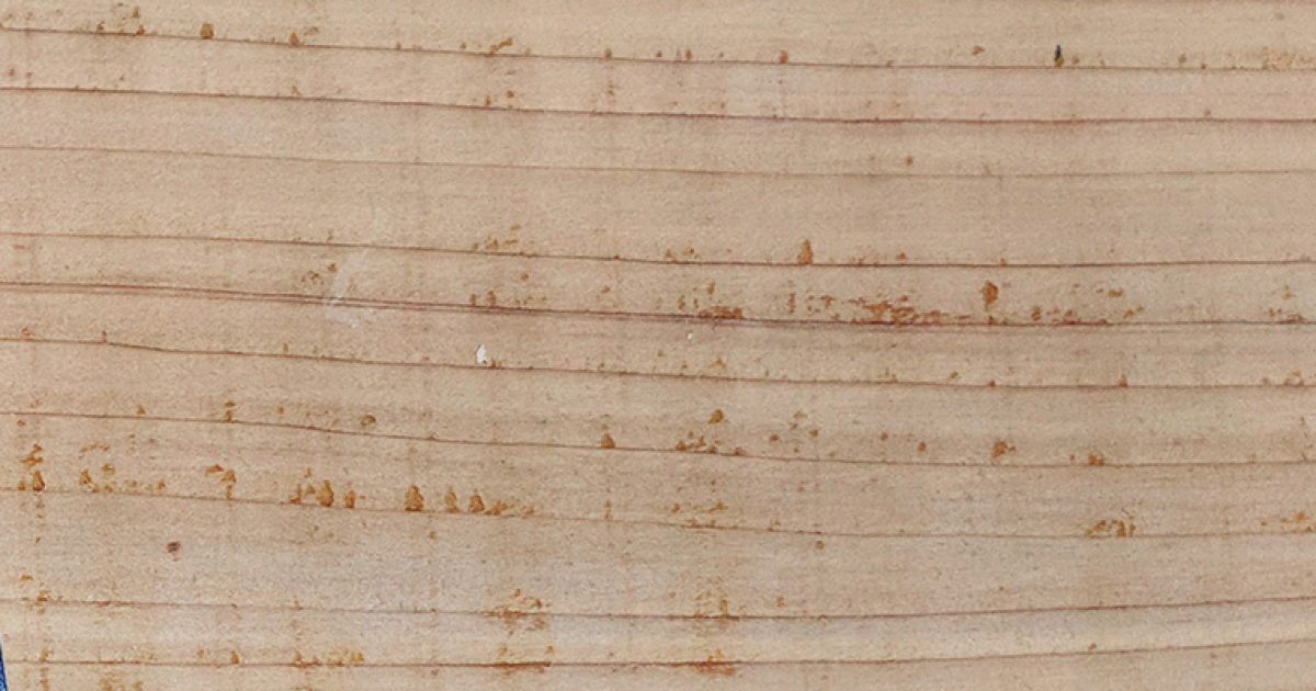 דרכון אמריקאי